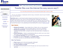 Tablet Screenshot of filestogo.com